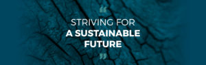 Striving for a sustainable future